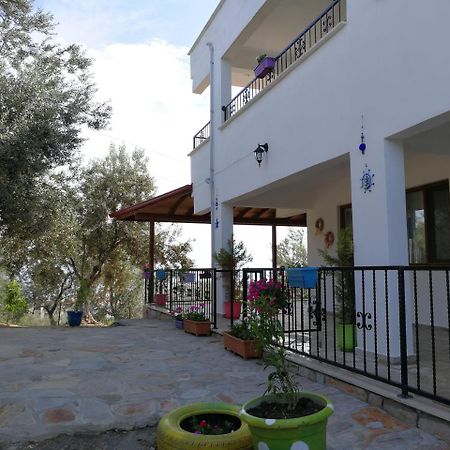 Kaymak Tepesi Tatil Evi Bed and Breakfast Küçükkuyu Eksteriør billede