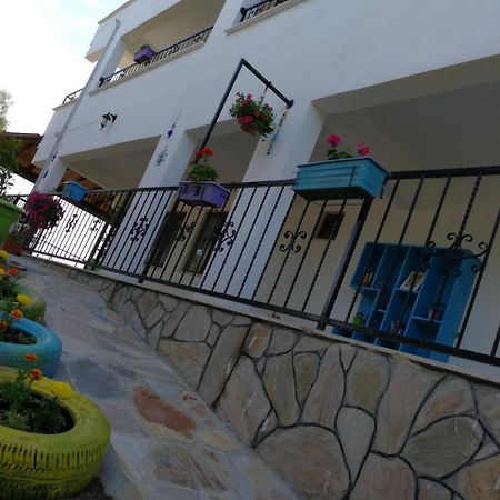 Kaymak Tepesi Tatil Evi Bed and Breakfast Küçükkuyu Eksteriør billede