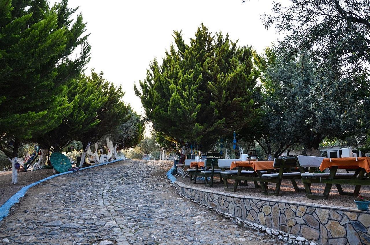 Kaymak Tepesi Tatil Evi Bed and Breakfast Küçükkuyu Eksteriør billede