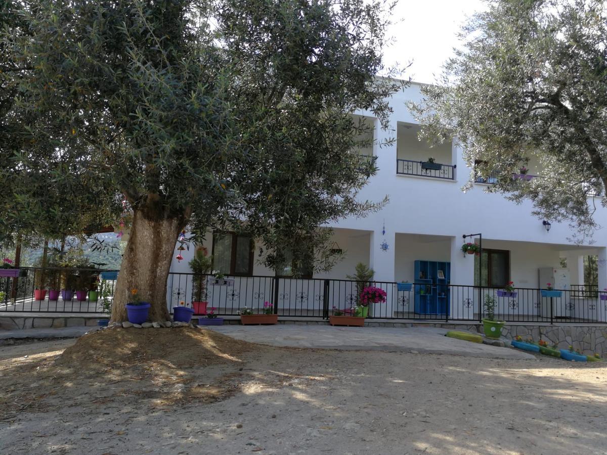 Kaymak Tepesi Tatil Evi Bed and Breakfast Küçükkuyu Eksteriør billede