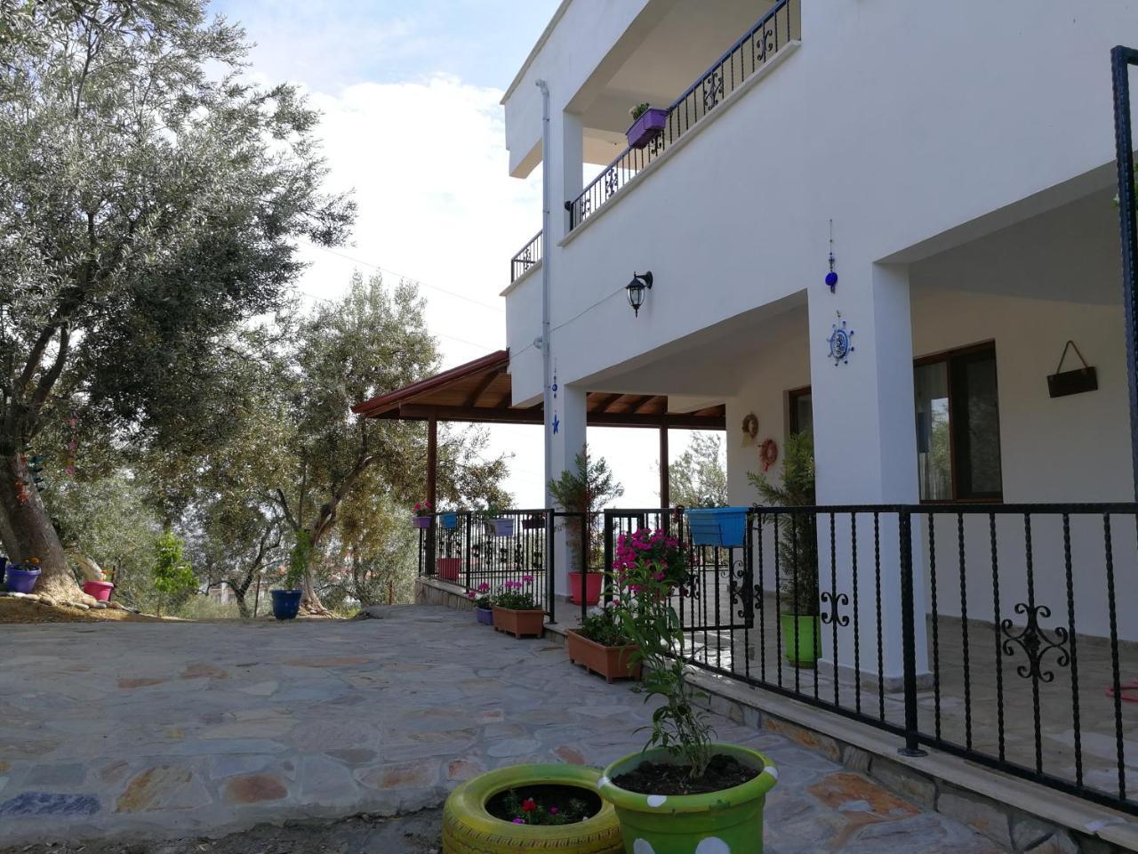 Kaymak Tepesi Tatil Evi Bed and Breakfast Küçükkuyu Eksteriør billede